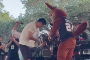 马刺背后的隐藏MVP神犬柯基做客圣安东尼奥 ！